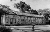 Ingestre Orangery