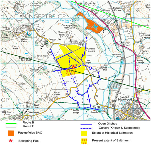 Current and historical
                extent of saltmarsh