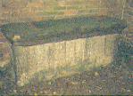 Richard Biddulph's Grave
                    at Tixall