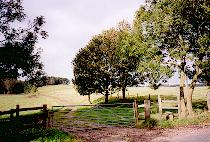 Footpath from Holdiford Road