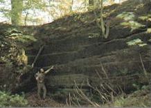 Tixall Quarry Face